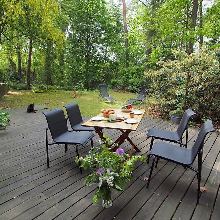 Ferienwohnung Am Duemmer See Dummer Ngoại thất bức ảnh