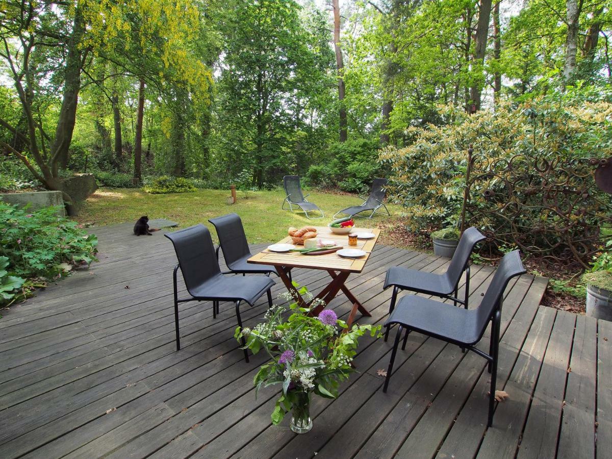 Ferienwohnung Am Duemmer See Dummer Ngoại thất bức ảnh