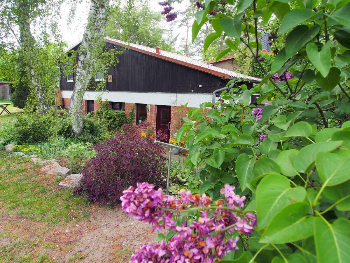 Ferienwohnung Am Duemmer See Dummer Ngoại thất bức ảnh