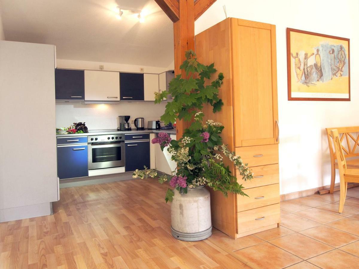 Ferienwohnung Am Duemmer See Dummer Ngoại thất bức ảnh