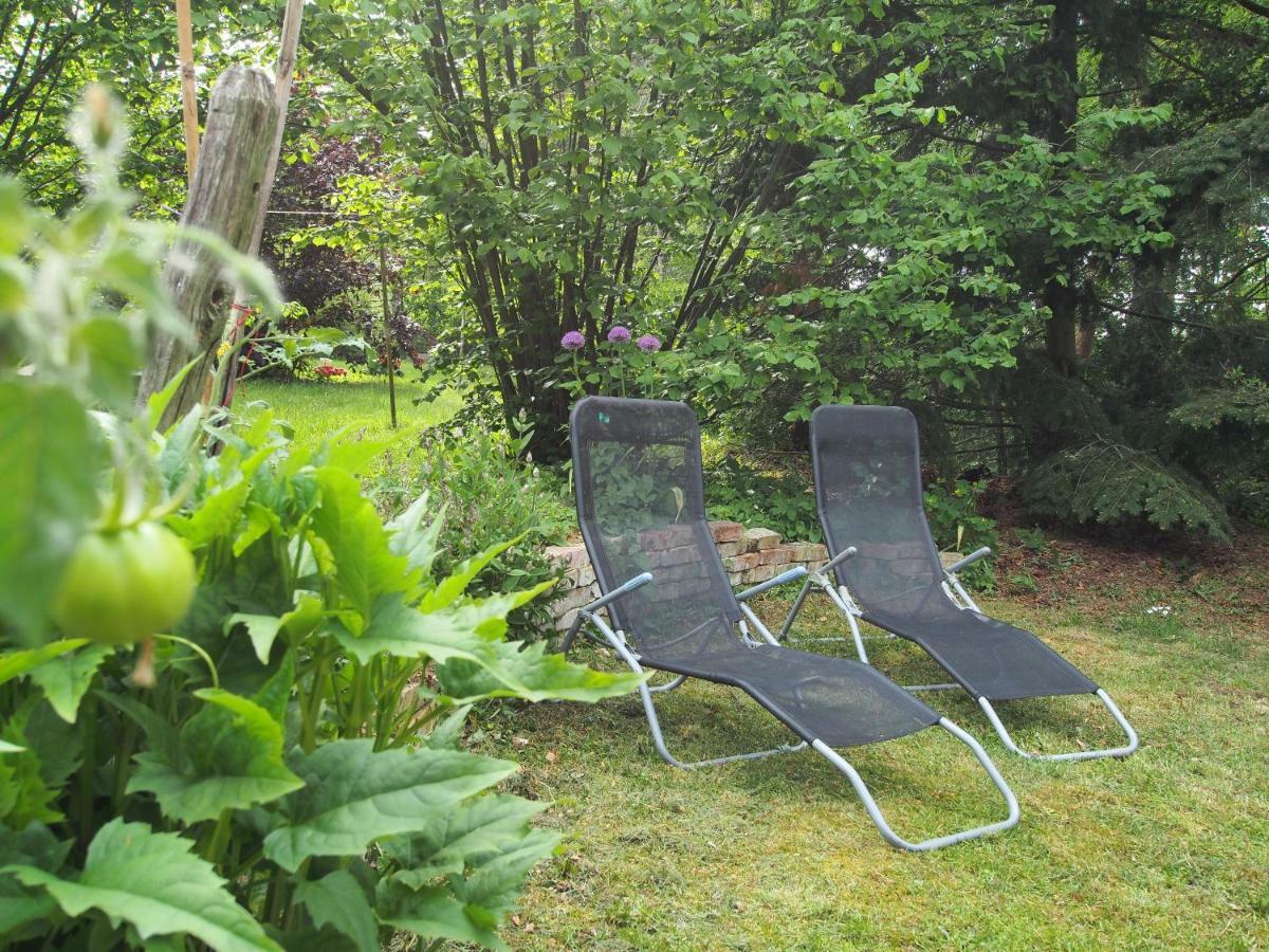 Ferienwohnung Am Duemmer See Dummer Ngoại thất bức ảnh