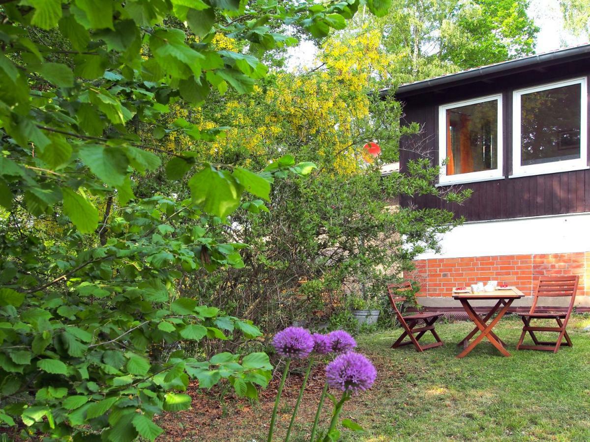 Ferienwohnung Am Duemmer See Dummer Ngoại thất bức ảnh