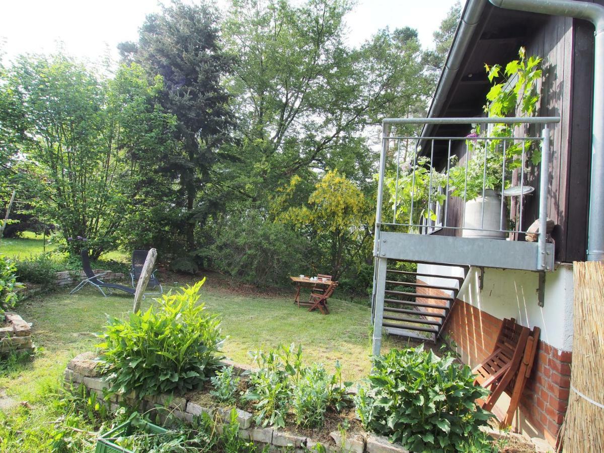 Ferienwohnung Am Duemmer See Dummer Ngoại thất bức ảnh
