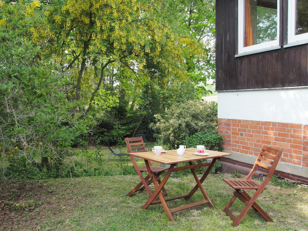 Ferienwohnung Am Duemmer See Dummer Ngoại thất bức ảnh